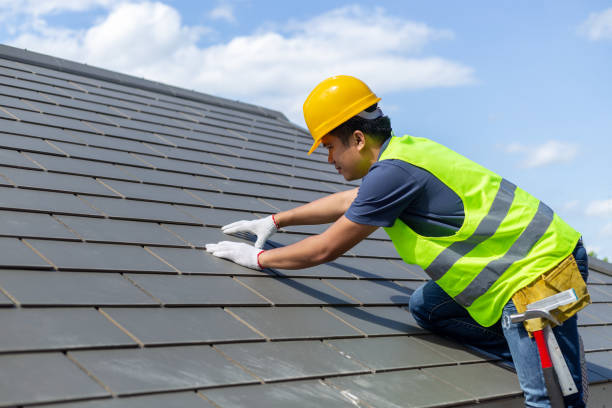Best New Roof Installation  in Wolf Lake, MI