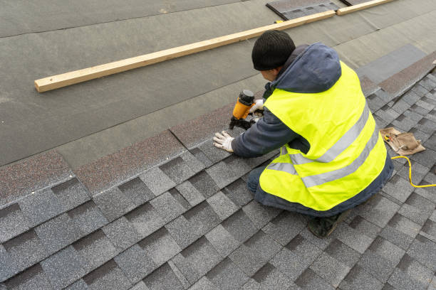 Best Roof Gutter Cleaning  in Wolf Lake, MI