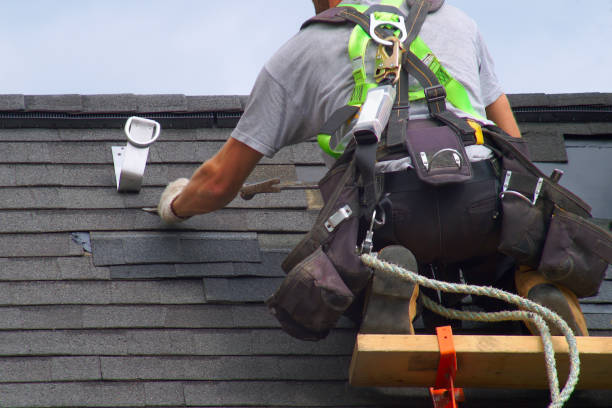 Best Roof Gutter Cleaning  in Wolf Lake, MI