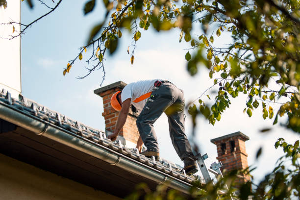 Best Best Roofing Contractors  in Wolf Lake, MI