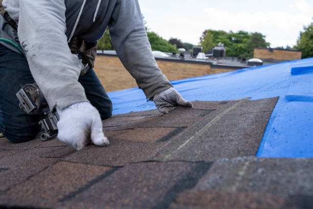Best Roof Waterproofing Services  in Wolf Lake, MI