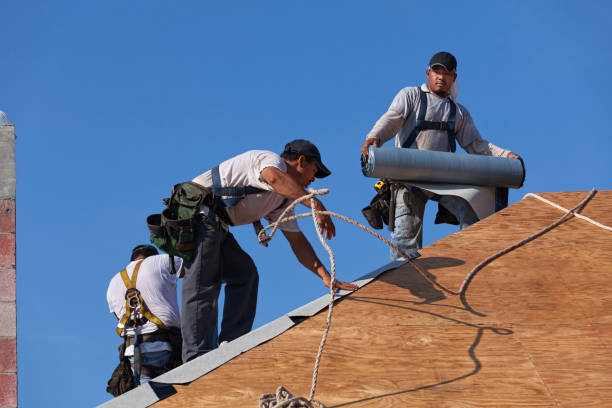 Best Commercial Roofing Services  in Wolf Lake, MI