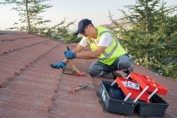 Best Metal Roofing Contractor  in Wolf Lake, MI