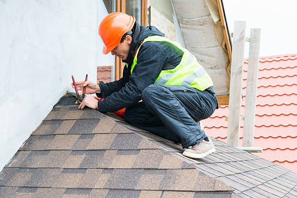 Best Roof Repair Specialists  in Wolf Lake, MI