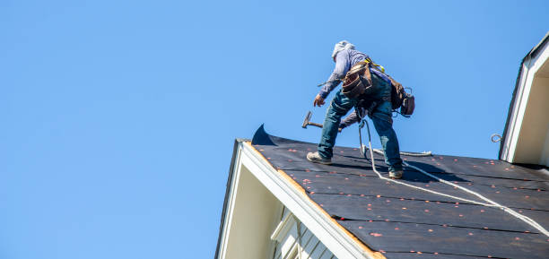 Best Roof Replacement Cost  in Wolf Lake, MI