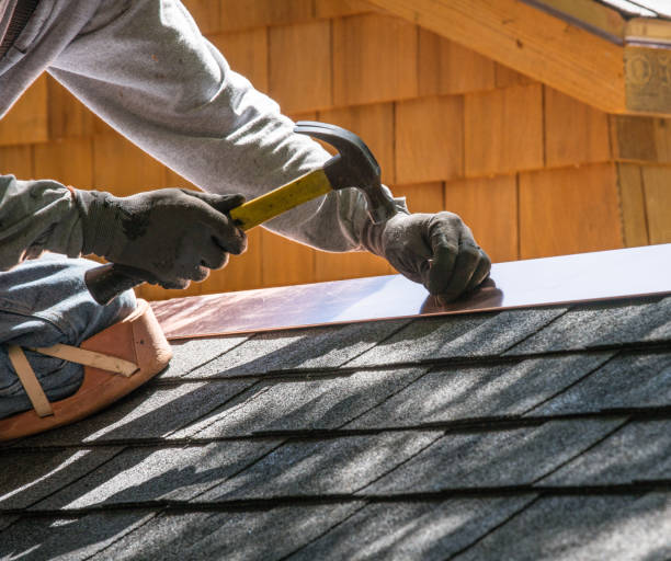 Best Roof Restoration Services  in Wolf Lake, MI